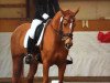 dressage horse Neomi (German Riding Pony, 2005, from Weltmeyer)