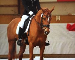 dressage horse Neomi (German Riding Pony, 2005, from Weltmeyer)