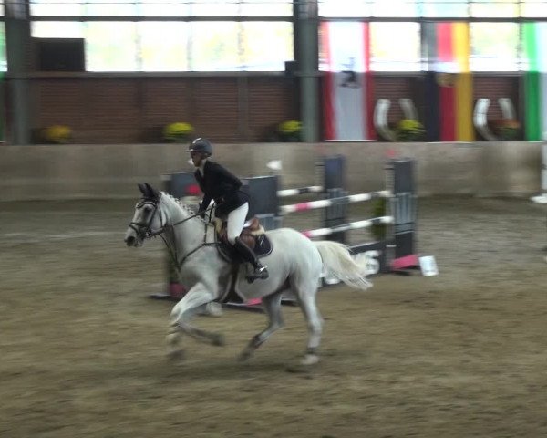 Reitturnier Köln-Leverkusen 2018