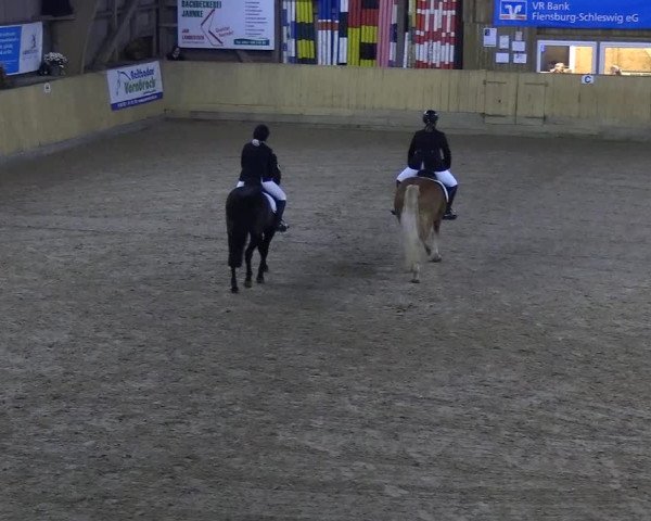 Reitturnier Sörup 2018