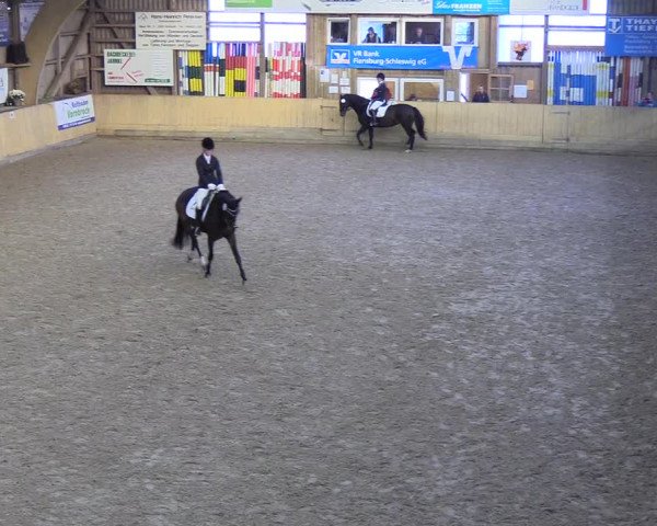 Reitturnier Sörup 2018