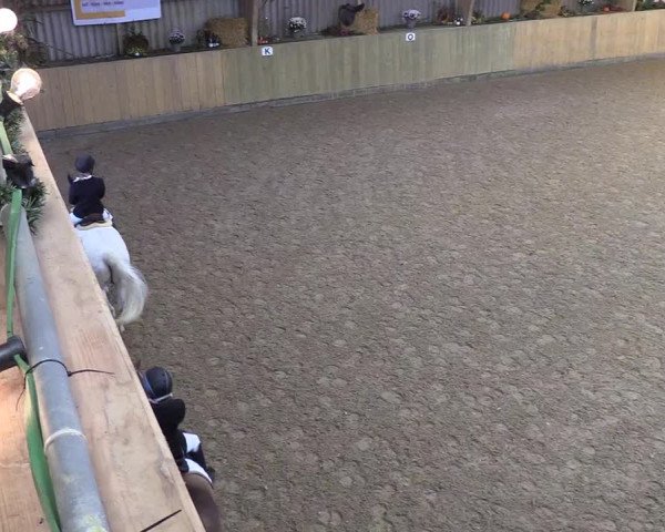 Reitturnier Sörup 2018