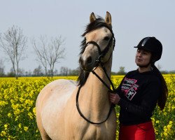 dressage horse Lady Lane 5 (Deutsches Reitpony, 2014, from Diors Daikiri)