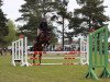 jumper Queen of Dream 2 (Oldenburg show jumper, 2011, from Quintender 2)