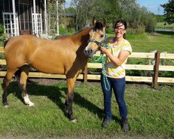 broodmare Chayenne Moon (German Riding Pony, 2006, from FS Champion de Luxe)