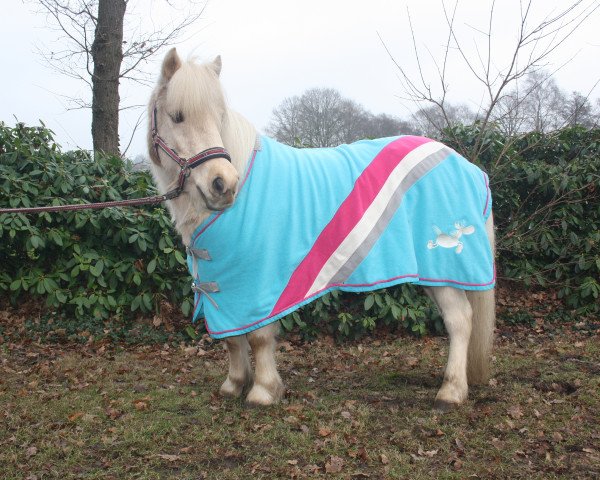 Dressurpferd Magic Flower (Shetland Pony, 2005)