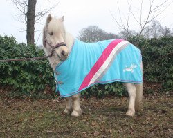 dressage horse Magic Flower (Shetland Pony, 2005)