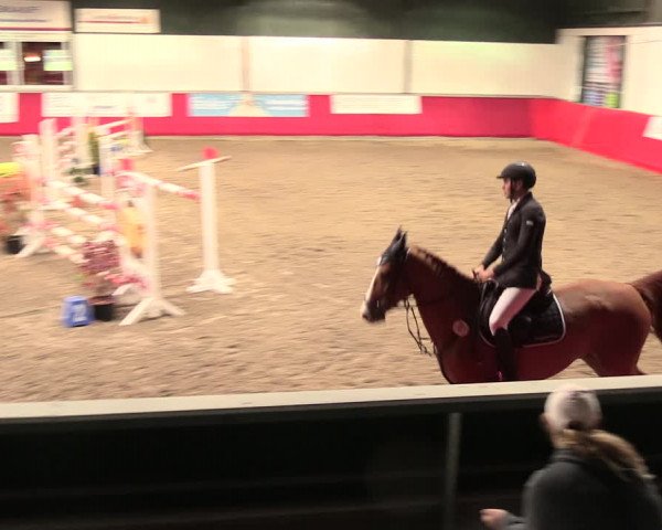 Salzkottener Pferdefestival 2018