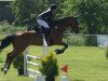 jumper First Chin (Belgian Warmblood, 2005, from Chin Chin)