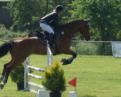 Springpferd First Chin (Belgisches Warmblut, 2005, von Chin Chin)