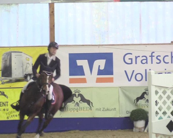 Reitturnier Isterberg 2018
