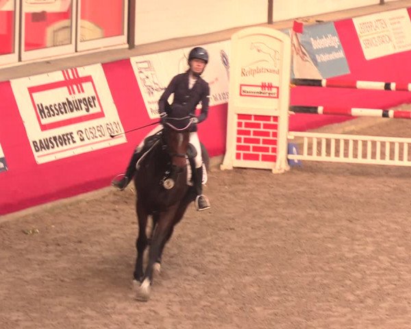 Salzkottener Pferdefestival 2018
