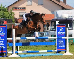 jumper Alexis Sorbas 10 (Oldenburg, 2005, from Acordelli)