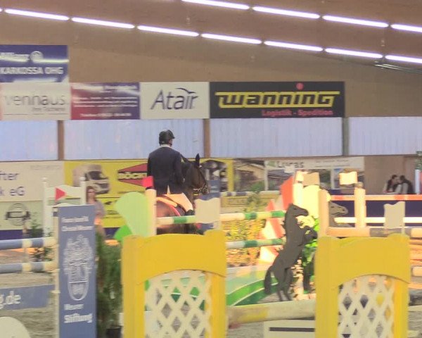 Reitturnier Isterberg 2018