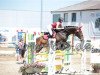 dressage horse HK's Lorena de la Rouge (Westphalian, 2005, from Laudabilis)