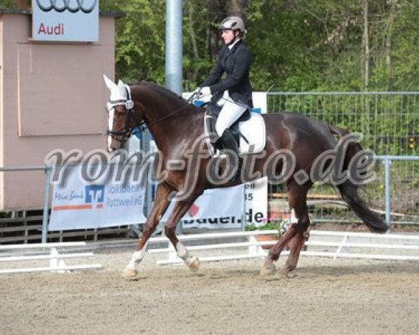 dressage horse Deutschland 3 (Württemberger, 2008, from Don Diamond)