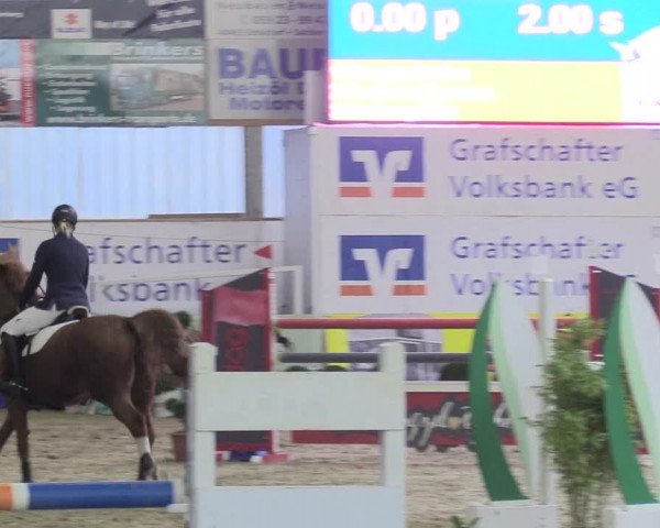 Reitturnier Isterberg 2018