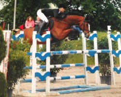 jumper Nessandro (Rhinelander, 2009, from Nabab de Rêve)