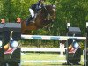 jumper Merano Z (Zangersheide riding horse, 2007, from Montender)