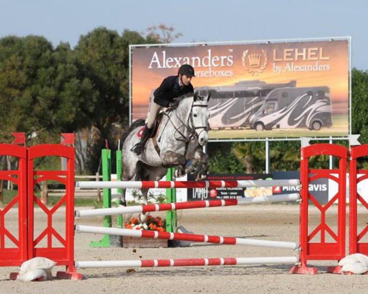 stallion Clyde Lvb Z (Zangersheide riding horse, 2010, from Clinton)