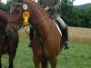 dressage horse Diamonds Daylight 4 (Württemberger, 2005, from Day Dream)