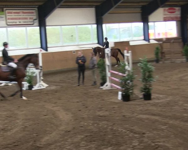 Reitturnier Niebüll 2018