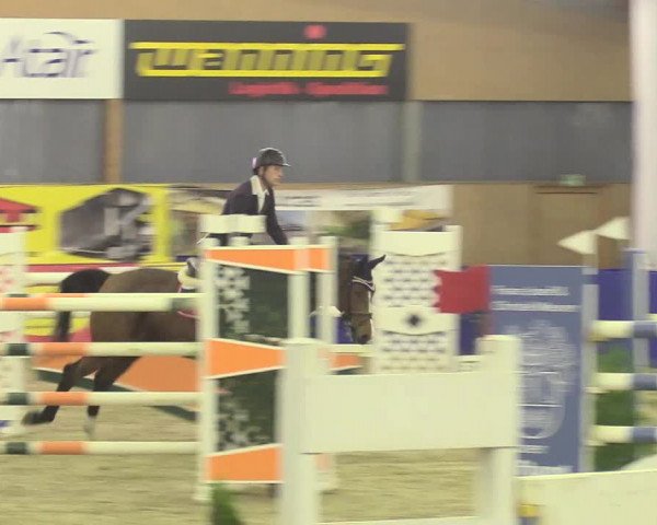 Reitturnier Isterberg 2018