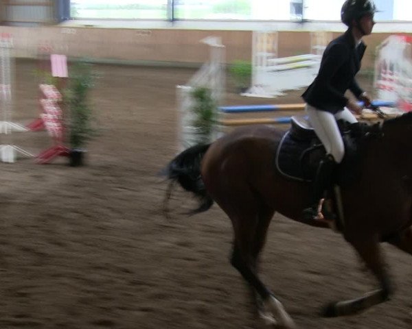 Reitturnier Niebüll 2018