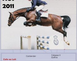 broodmare Cafe Precieuse (Oldenburg show jumper, 2004, from Cafe au lait 2)