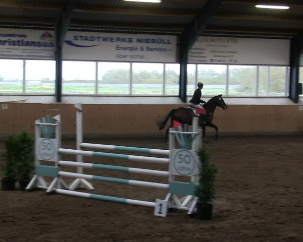 Reitturnier Niebüll 2018