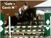 jumper Cafe's Cassis M (Oldenburg show jumper, 2004, from Cafe au lait 2)