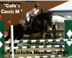 jumper Cafe's Cassis M (Oldenburg show jumper, 2004, from Cafe au lait 2)