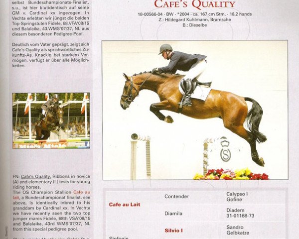 jumper Cafe's Quality (Oldenburg show jumper, 2004, from Cafe Au Lait)