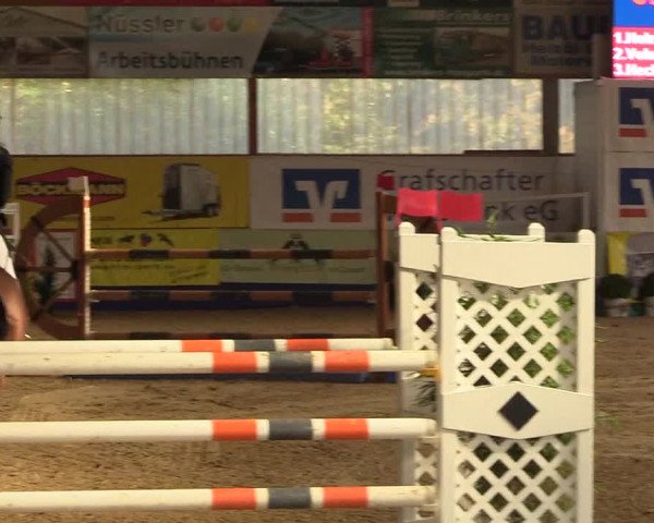 Reitturnier Isterberg 2018
