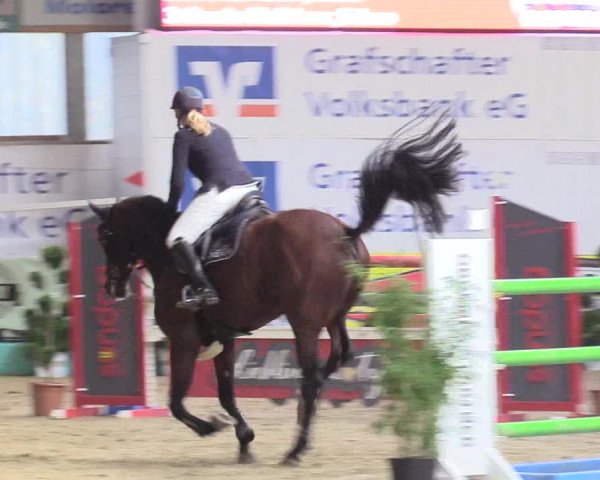 Reitturnier Isterberg 2018