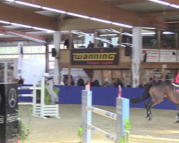 Reitturnier Isterberg 2018