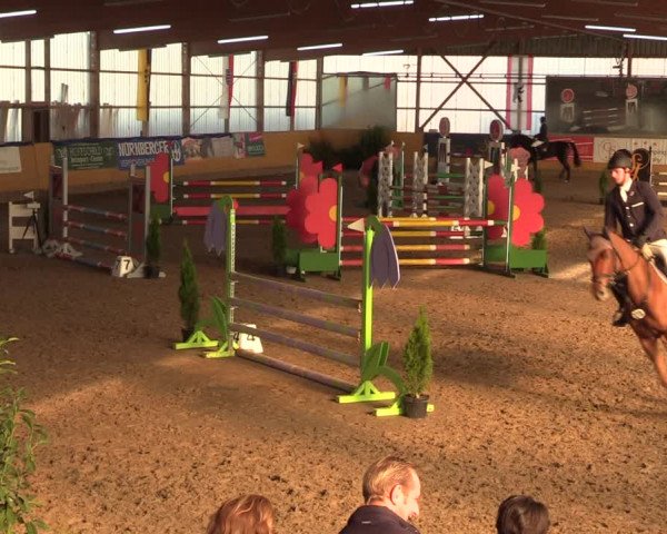 Reitturnier Pausin 2018