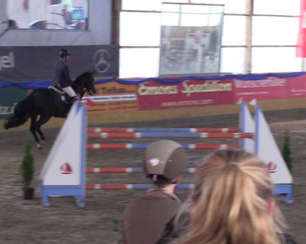 Reitturnier Pausin 2018