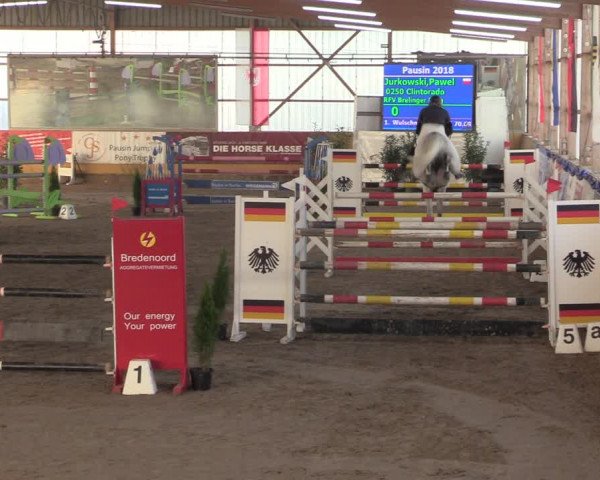Reitturnier Pausin 2018