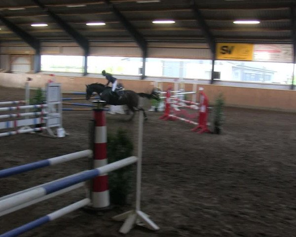 Reitturnier Niebüll 2018