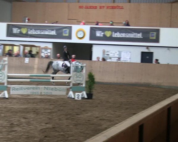 Reitturnier Niebüll 2018