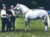 Deckhengst Tulira Robuck (Connemara-Pony, 1995, von Earl of Castlefrench)