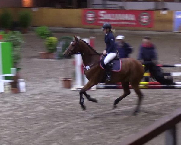 Reitturnier Hamburg-Friedrichshulde 2018