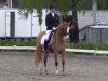 Dressurpferd Disney Dancer 2 (Deutsches Reitpony, 2012, von FS Daddy Cool)