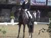 dressage horse Four Seasons FRH (Hanoverian, 2011, from Fürstenball)