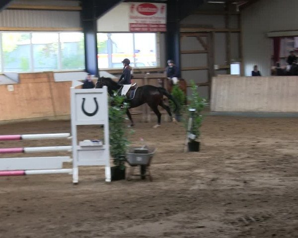 Reitturnier Niebüll 2018