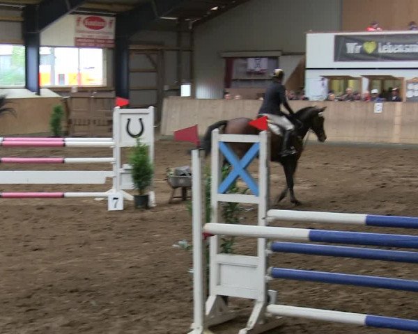 Reitturnier Niebüll 2018