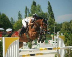 jumper Legendina (Oldenburg show jumper, 2005, from Cartoon)