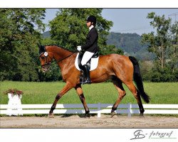 horse Laurentio 9 (Hanoverian, 2010, from Lemur)