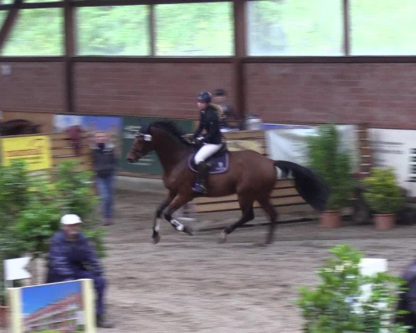 Reitturnier Hamburg-Friedrichshulde 2018